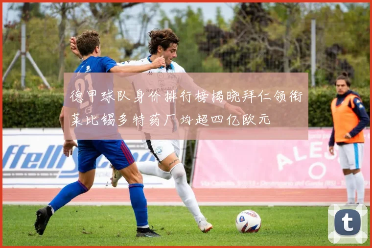 德甲球队身价排行榜揭晓拜仁领衔莱比锡多特药厂均超四亿欧元