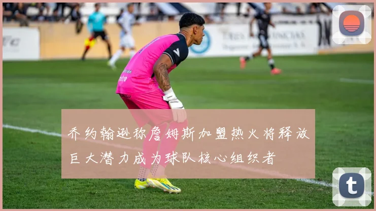 乔约翰逊称詹姆斯加盟热火将释放巨大潜力成为球队核心组织者
