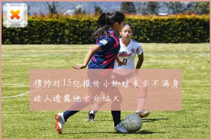 穆帅对15亿报价小蜘蛛表示不满身边人透露他十分恼火